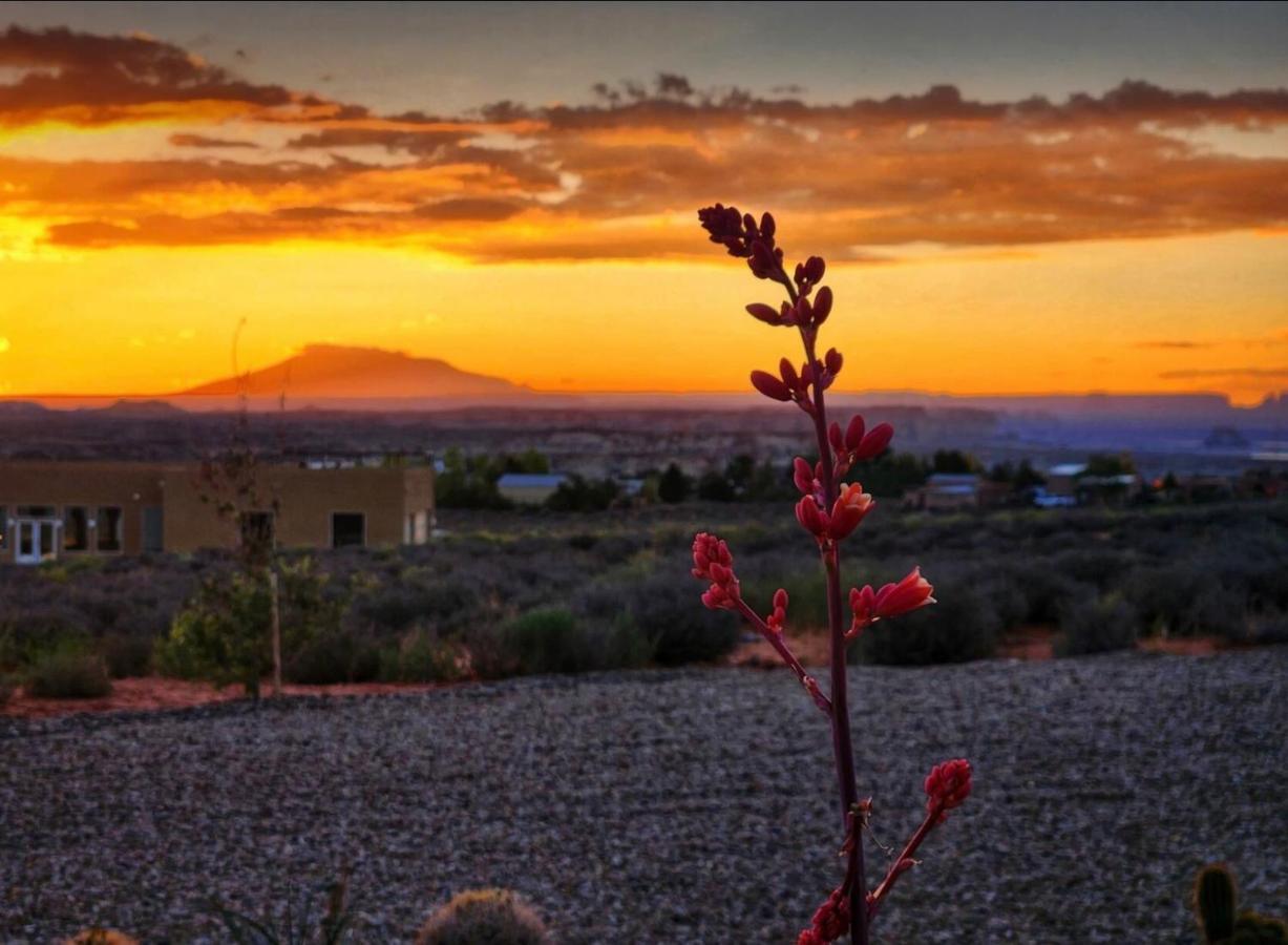 Canyon Oasis Suite With Grand Mesa View بيغ ووتر المظهر الخارجي الصورة